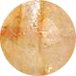 Honey Cream Yellow Tower Quartz 8mm